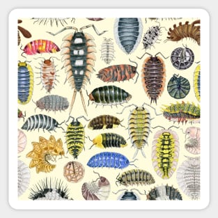 Crazy Isopod Pattern Sticker